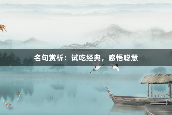 名句赏析：试吃经典，感悟聪慧