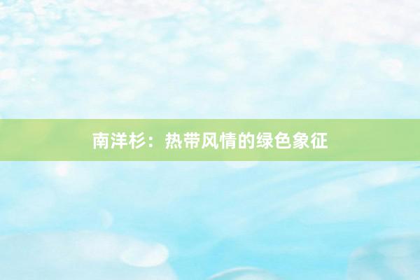 南洋杉：热带风情的绿色象征