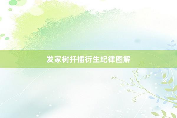 发家树扦插衍生纪律图解