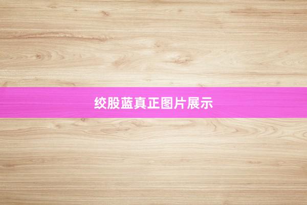 绞股蓝真正图片展示